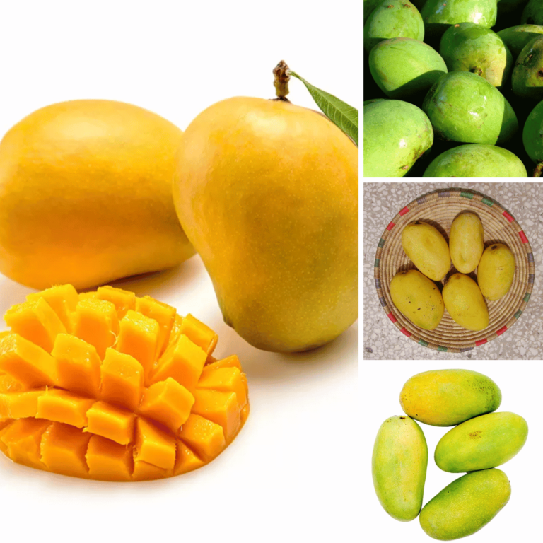 Mango Season Finally Arrives: A Time of Joy and Celebration for Mango Lovers Worldwide