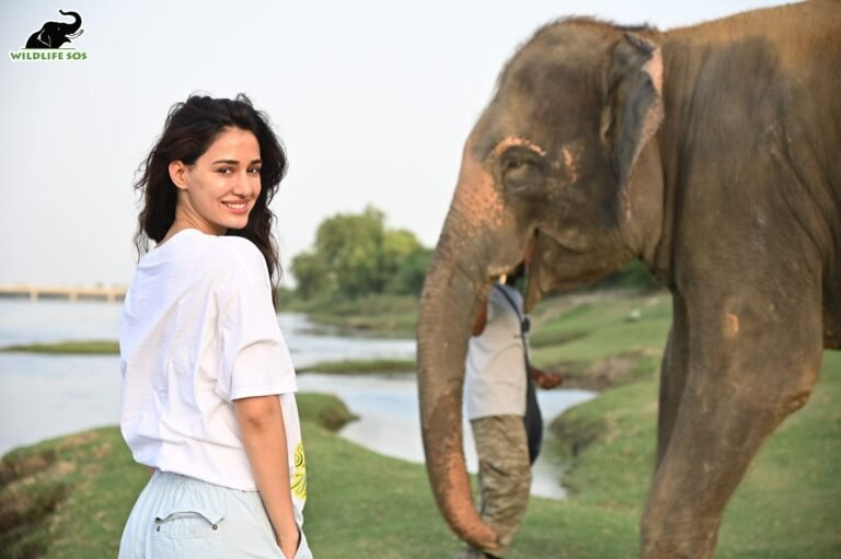 Disha Patani Unleashes the Wonders of Her Wildlife SOS Centre Expedition