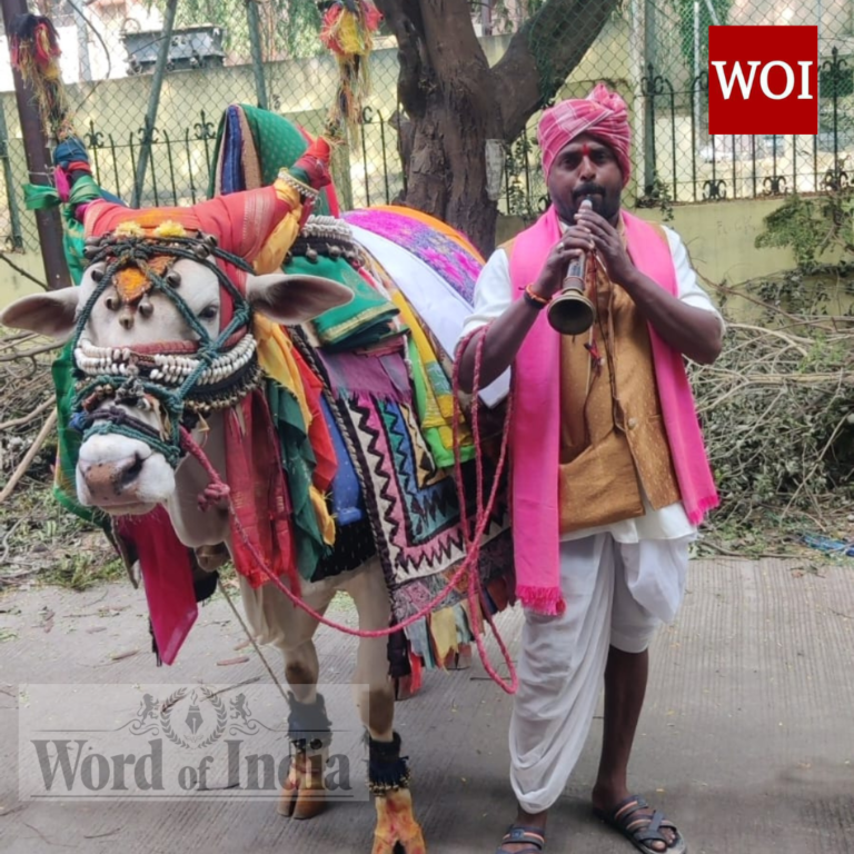 Sankranti's Heritage: Preserving the Legacy of Haridasu and Gangireddu