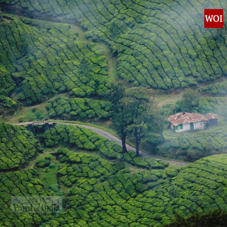 Beat the Heat: Off to Cool Hill Stations.