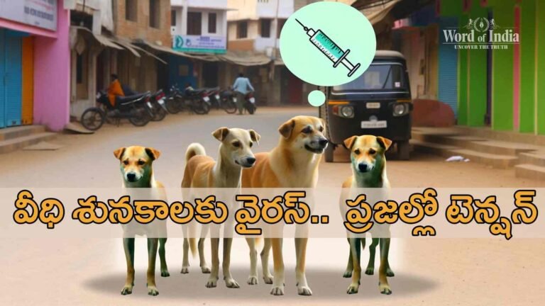 new-parvo-virus-affects-street-dogs in nizamabad