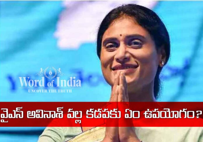 APCC Chief YS Sharmila Fires On Kadapa MP Avinash Reddy