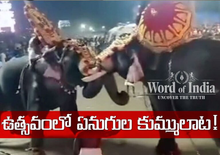 Elephant Fight in a Thrissur temple of Kerala has left people terrified