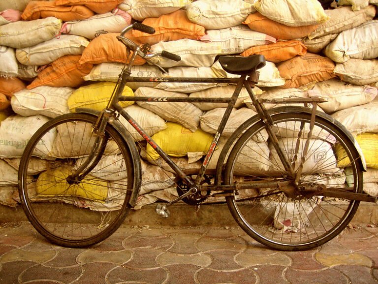 Hyderabad man encourages house help to cycle