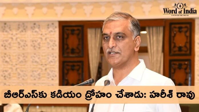 Harish Rao Fires On Kadiyam Srihari and his daughter kadiyam kavya in warangal BRS Meeting ahead of Lok sabha elections 2024