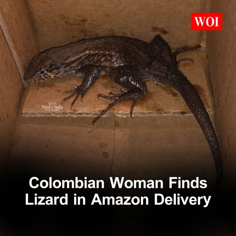 Amazon Help apologized,