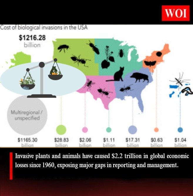 Invasive Species Have Cost the World $2.2 Trillion Since 1960