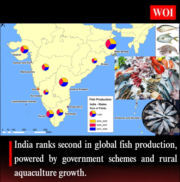India Becomes Second Largest Fish Producer in the World
