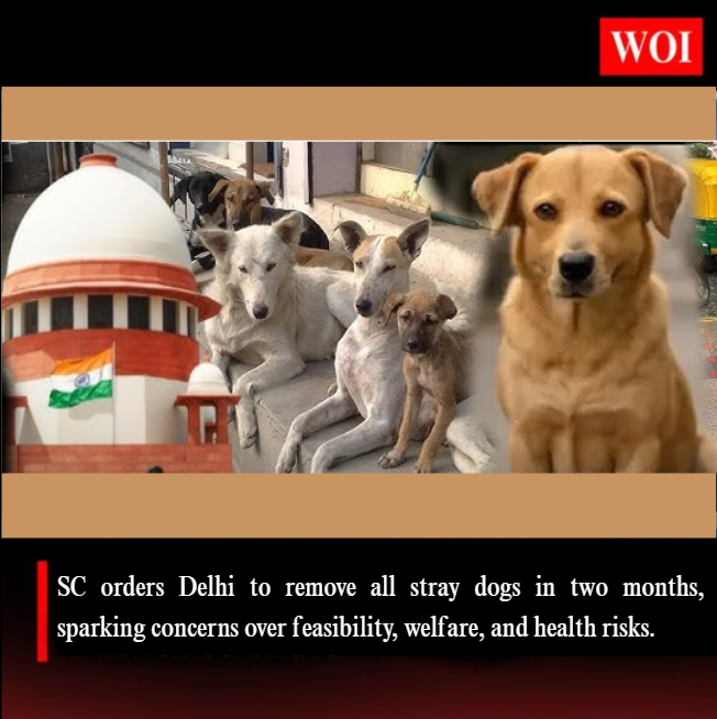 Supreme Court Orders Removal of All Stray Dogs from Delhi in Two Months