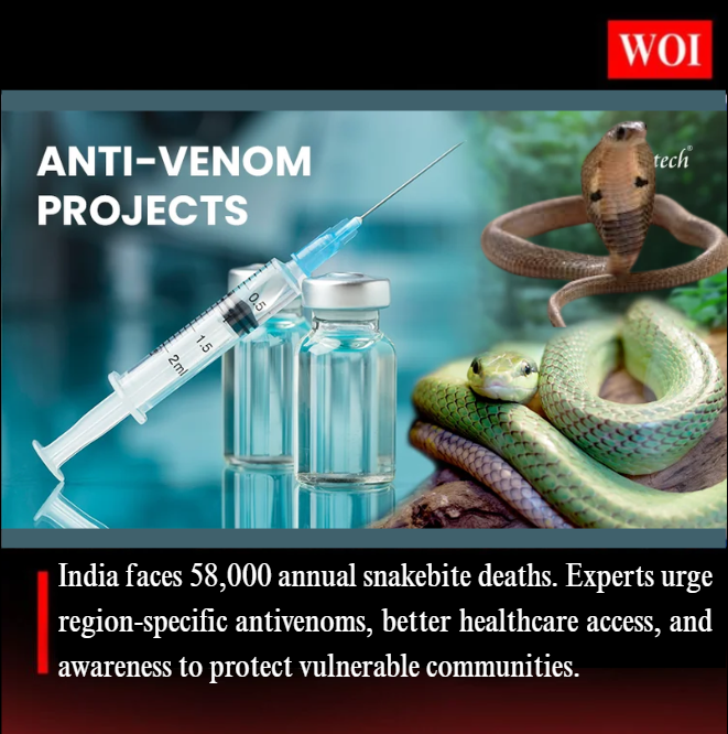 India’s Snakebite Crisis: Urgent Need for Region-Specific Antivenoms