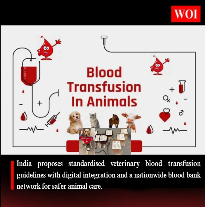 India to Standardise Veterinary Blood Transfusions with New SOP