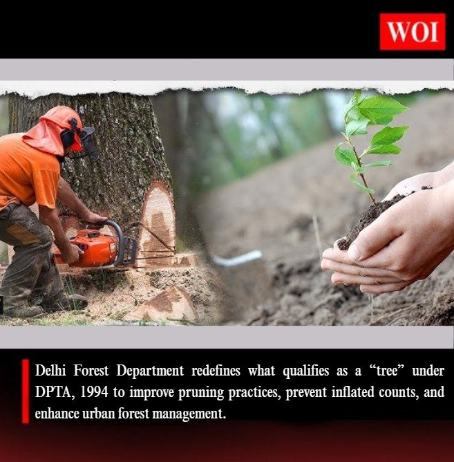 Delhi Forest Department Clarifies Definition of “Tree” Under DPTA, 1994