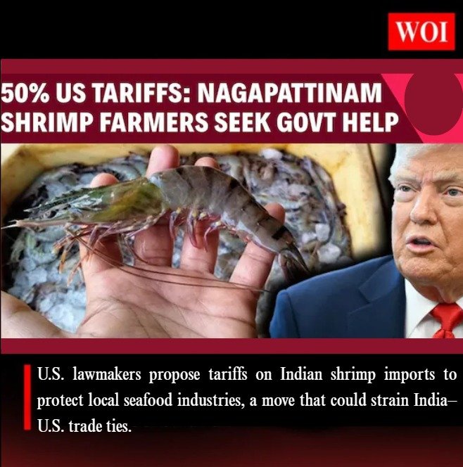 India Shrimp Tariff Act: U.S. Senators Push for Tariffs on Indian Shrimp Imports