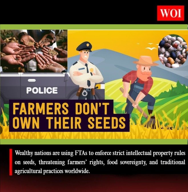 FTAs Enforce Strict Seed IP Rules, Threatening Farmers’ Rights