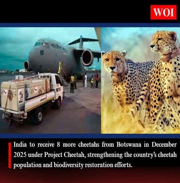 India to Receive 8 More Cheetahs from Botswana Under Project Cheetah