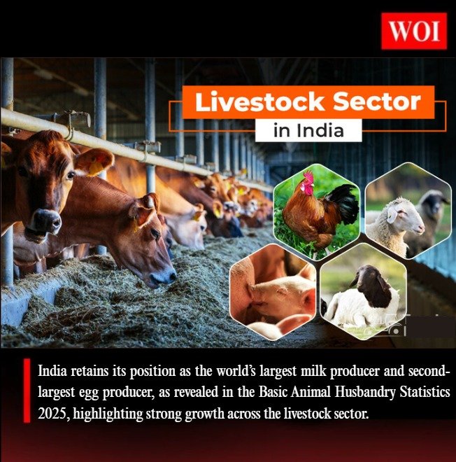 India Strengthens Global Standing in Livestock Production: Basic Animal Husbandry Statistics 2025