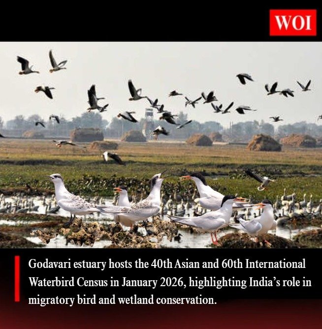Asian Waterbird Census 2026 to Be Conducted at Godavari Estuary