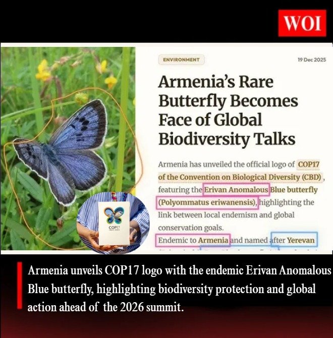 Armenia Unveils COP17 Logo Featuring Endemic Erivan Anomalous Blue Butterfly