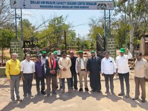 Scientists Call for Balanced Development and Conservation in the Nallamala Forests