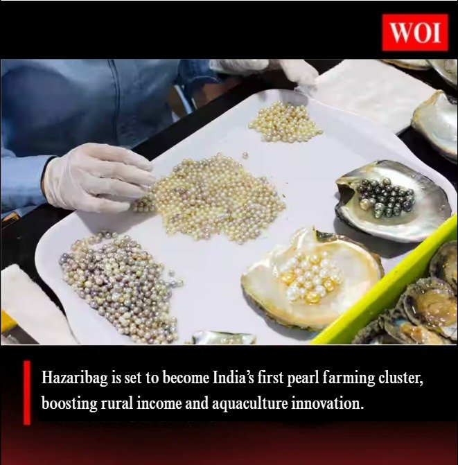 Hazaribag Emerging as India’s First Pearl Farming Cluster in Jharkhand